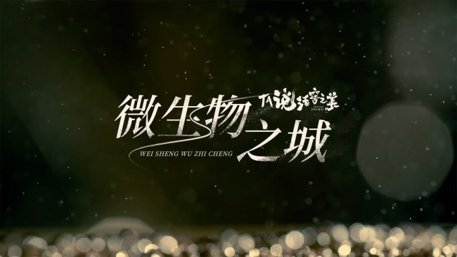 解码五粮液的品质密码——微生物