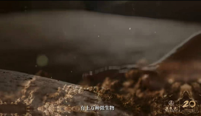 中国烹调行家“寻香”元明古窖池群，探寻五粮液“大国浓香”密码