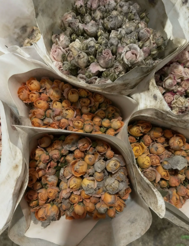 “羊毛党”用AI假图骗“仅退款”:百元内商品成重灾区,“造假教程”被288元打包出售