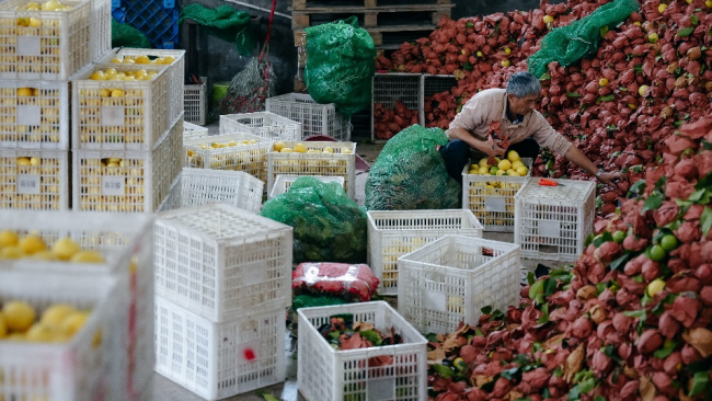 拼多多Q3营收1083亿元：生态反哺成主题，“千亿扶持”战略下的十年转型与新征程