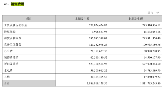 图源:2024年年报截图