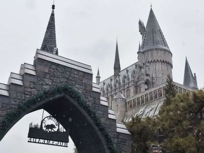 有主题乐园酒店预订增94%!大学生机票预订量增两成