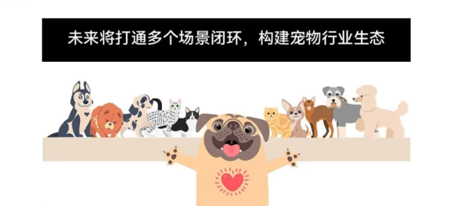 依依股份停止收购高爷家