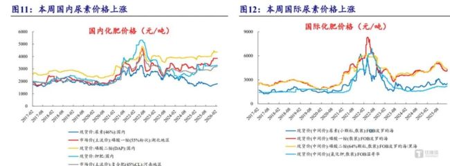 美伊冲突引爆化工行情：谁在涨价，谁还会被推上风口？