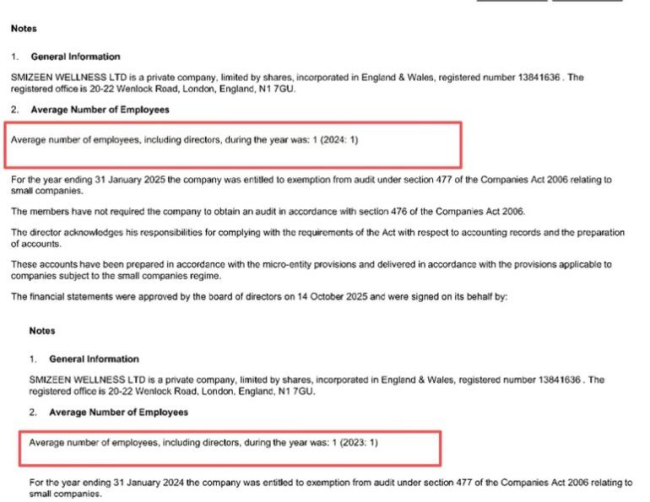 图片来源：英国公司注册处官网截图