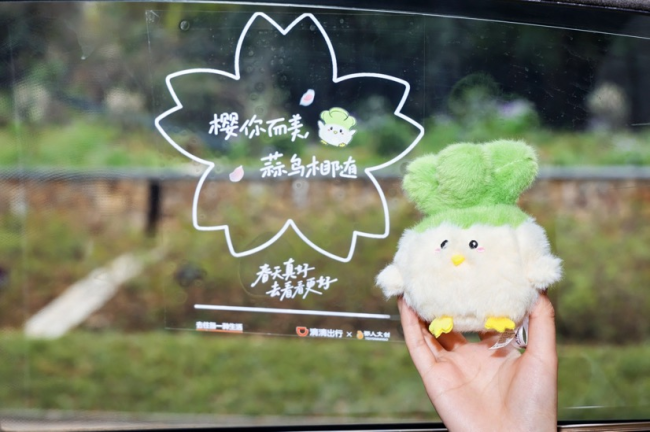 图组为：用户可在滴滴赏花保障车队车内领取限量周边、香卡