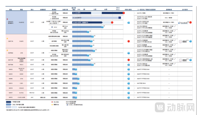 图源：英派药业招股书