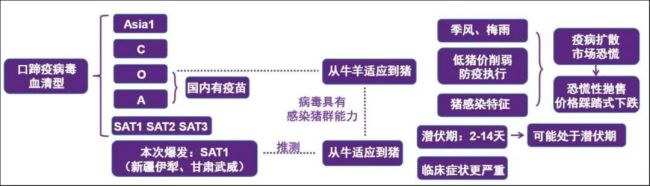 猪价创10年新低，猪肉股为何先涨？