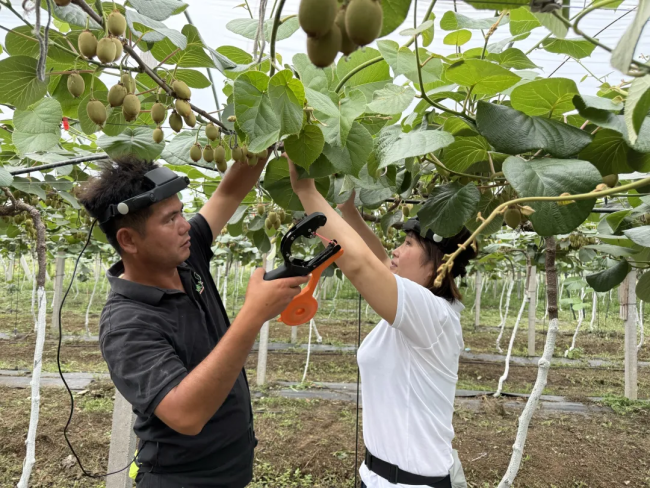 全国首个具身智能数据采集社区落地 京东联手宿迁破解行业 “数据荒”