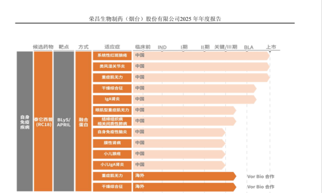图源：公司官网