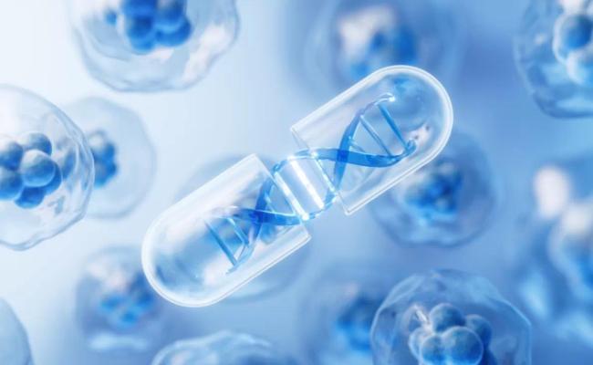 红杉、高毅等机构扎堆调研，贝达药业创新实力究竟如何？