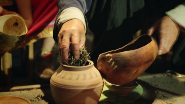 澜沧古茶深陷业绩滑坡与内控危机，高管违规用印致2306万资金冻结