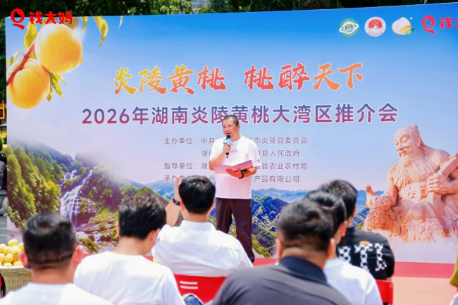 炎陵黄桃的新季安心选，钱大妈携手产地开启夏日尝鲜