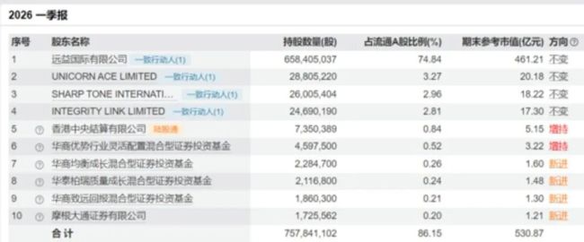宏和科技Q1十大股东