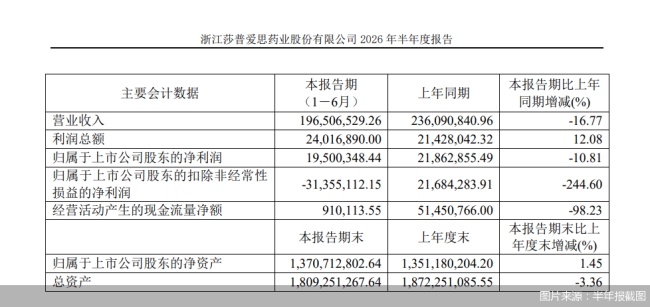 图片来源：半年报截图