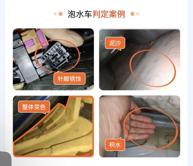 图片来源：查博士App截图