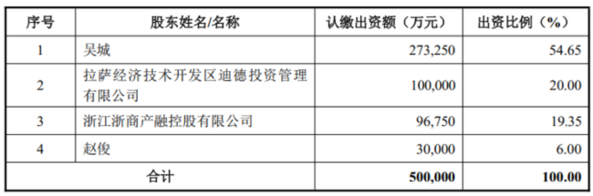 (国城集团2018年2月股权结构)