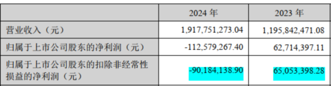 (国城矿业2024年年报)