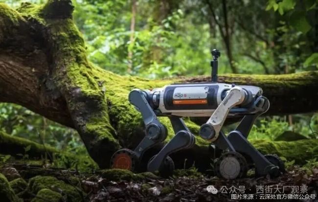 云深处的高光与暗影