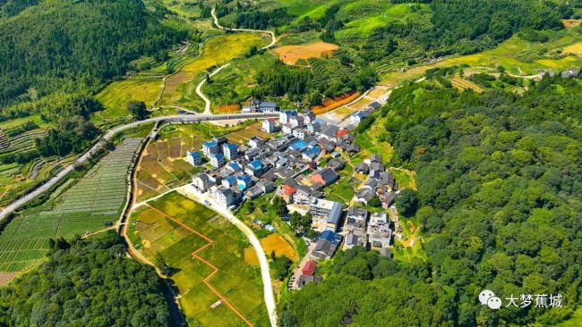 蕉城七彩田园绘就乡村振兴美丽新画卷