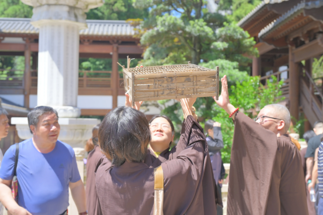 径山寺圆满举办护林放生晒经祈福归堂共修等系列活动