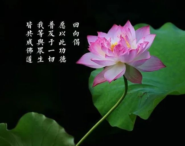 佛教是什么时候传入中国的？