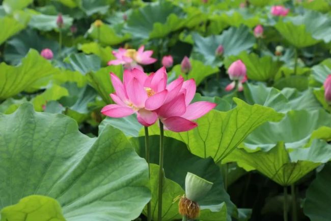 无常与无我的观点与意义