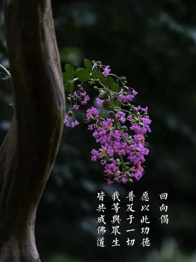 木人