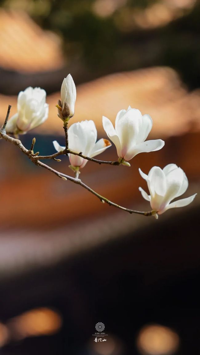 体相用有什么意义?体相用的真义