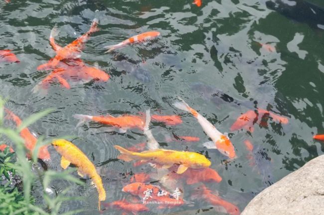 人生建议：永远不要提前焦虑