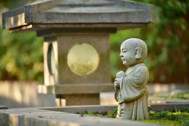 修一颗舍心，悟人生大道