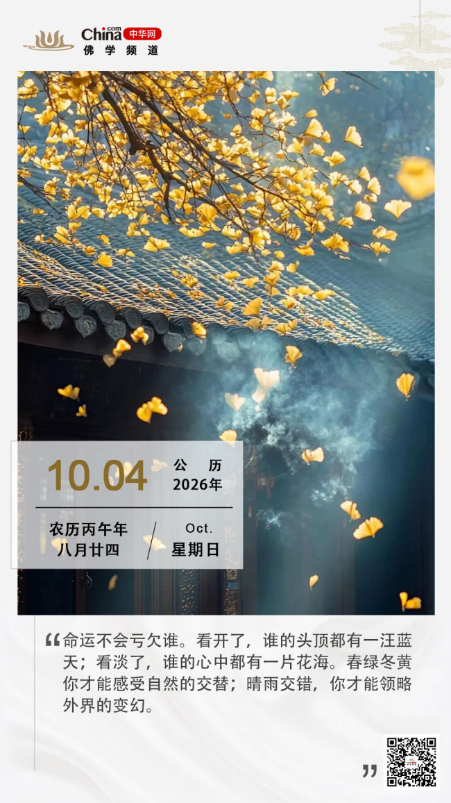 一片花海