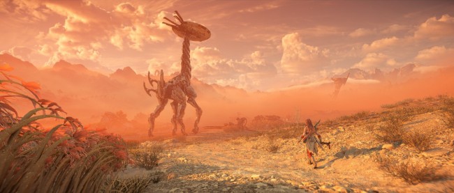 《地平线：西之绝境》PC版截图 风景唯美人物逼真