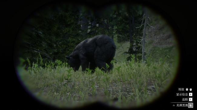 《荒野大镖客2》动物美洲黑熊在哪里找
