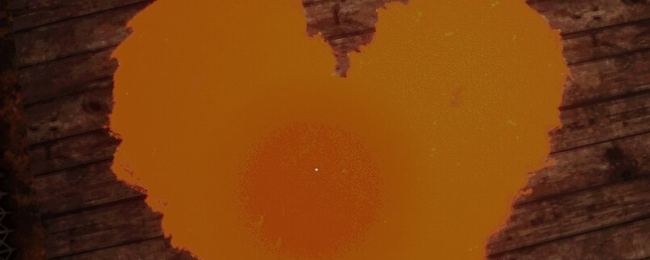 《笼子》牛奶杀手成就指南