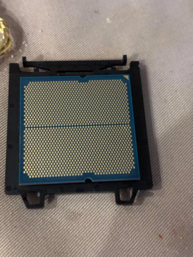 买家购买AMD原装散热器 意外收到“附赠”CPU