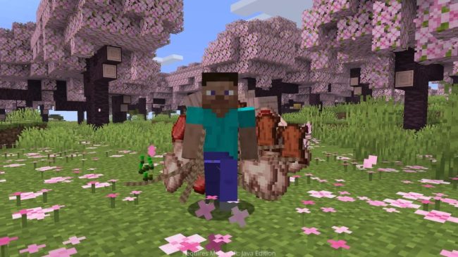 《我的全国》最新更新 居然取消了传统的仓库缱绻