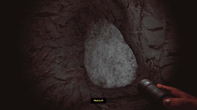 Steam喜加一！《恐怖的深度：蘑菇日》免费领