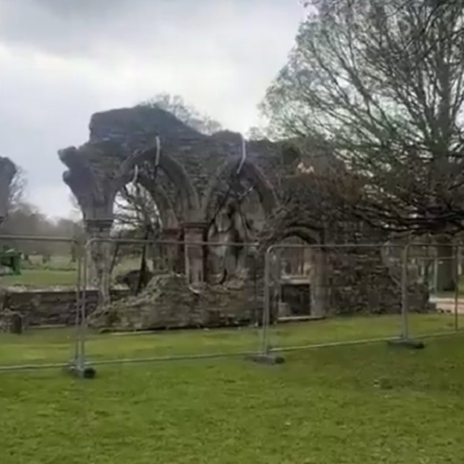 《艾尔登法环》电影投资远超1亿美元 《DMC：鬼泣》编剧执导