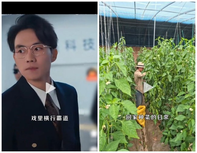 受到AI冲击 真人短剧“霸道总裁”张小磊回家种地