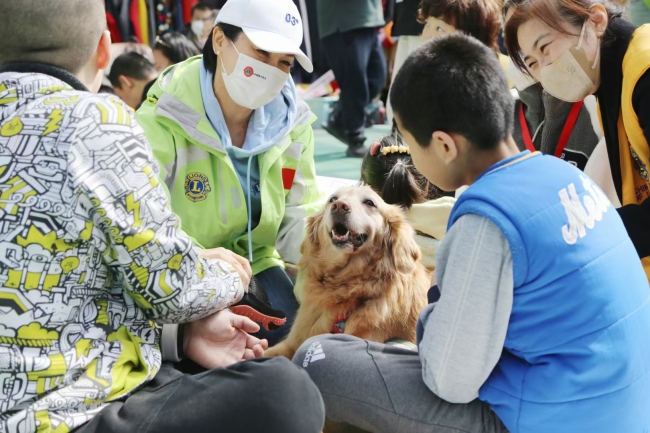从街头流浪到心灵治愈：疗愈犬公益项目点亮流浪犬的“第二人生”