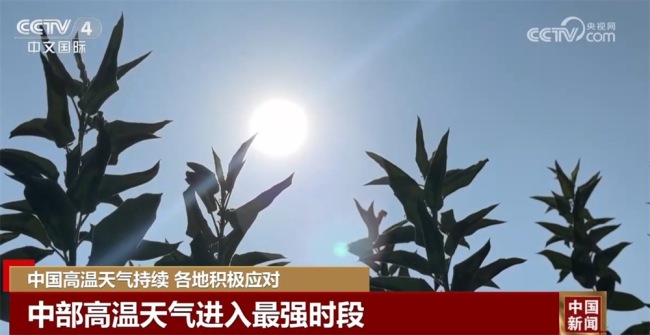 爱心驿站、人防纳凉中心、喷洒作业……各地积极“战”高温保民生