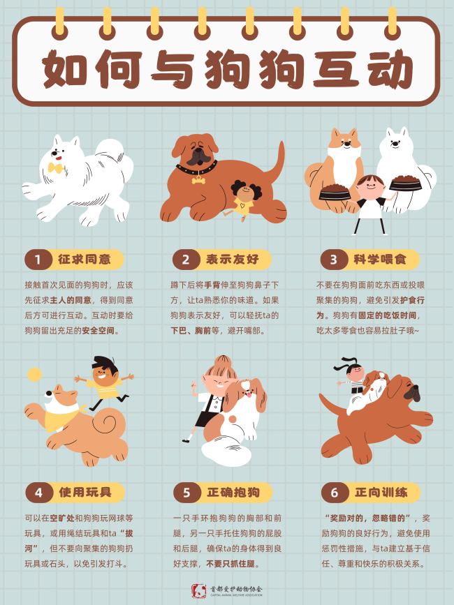 猫咪狗狗知识