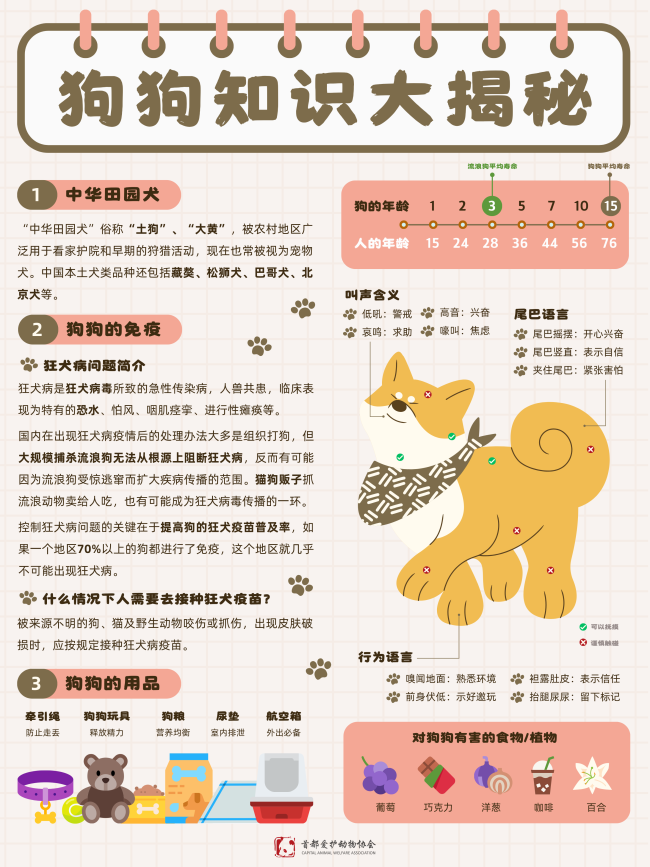 猫咪狗狗知识