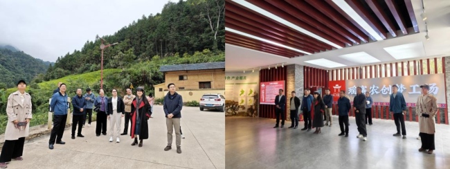 引才聚智,共绘瑶乡新图景——“金秀乡村行”人才下乡活动侧记