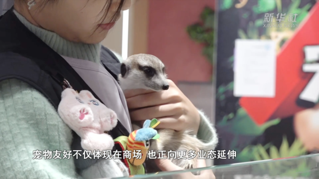 千亿“新赛道”的崛起密码|逛出幸福感:与“毛孩子”同行的城市地标