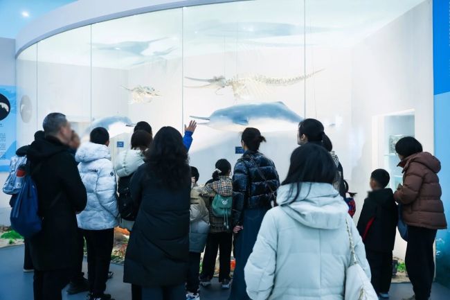 兴业银行武汉分行举办“长江守护·生生不息”江豚保护亲子公益活动