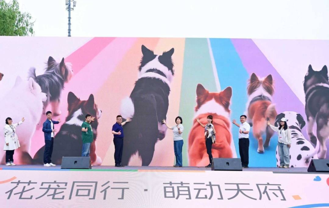 千只“毛孩子”花海开跑！成都首届国际宠物运动会燃情开赛