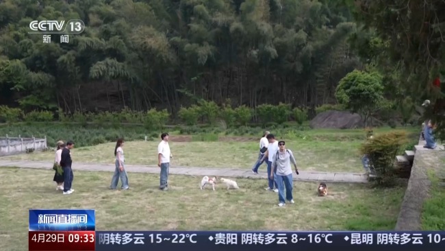 从携宠旅游到宠物百货 “宠物经济”不断拓展新场景