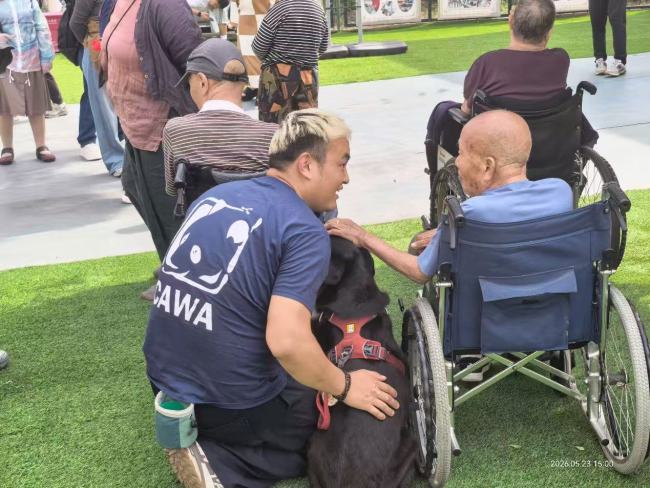 疗愈犬首次走进涿州养老院:一场爱与治愈的双向奔赴